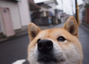 开云体育中国-老鹰终结浙江队，杜兰特完成自我救赎