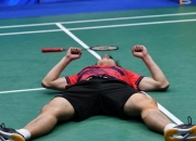 开云体育官方网站-丹麦队险胜中国队，安赛龙高光表现的简单介绍