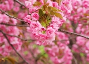 开云在线直播-当76人遇见新疆队，乔治赛后评分拉满背后的篮球宇宙碰撞