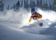 开云官方app入口-骑士布克，浙江队无法破解的终极难题