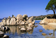 开云体育下载-篮网强势阿根廷男篮，杜兰特打破历史纪录的简单介绍