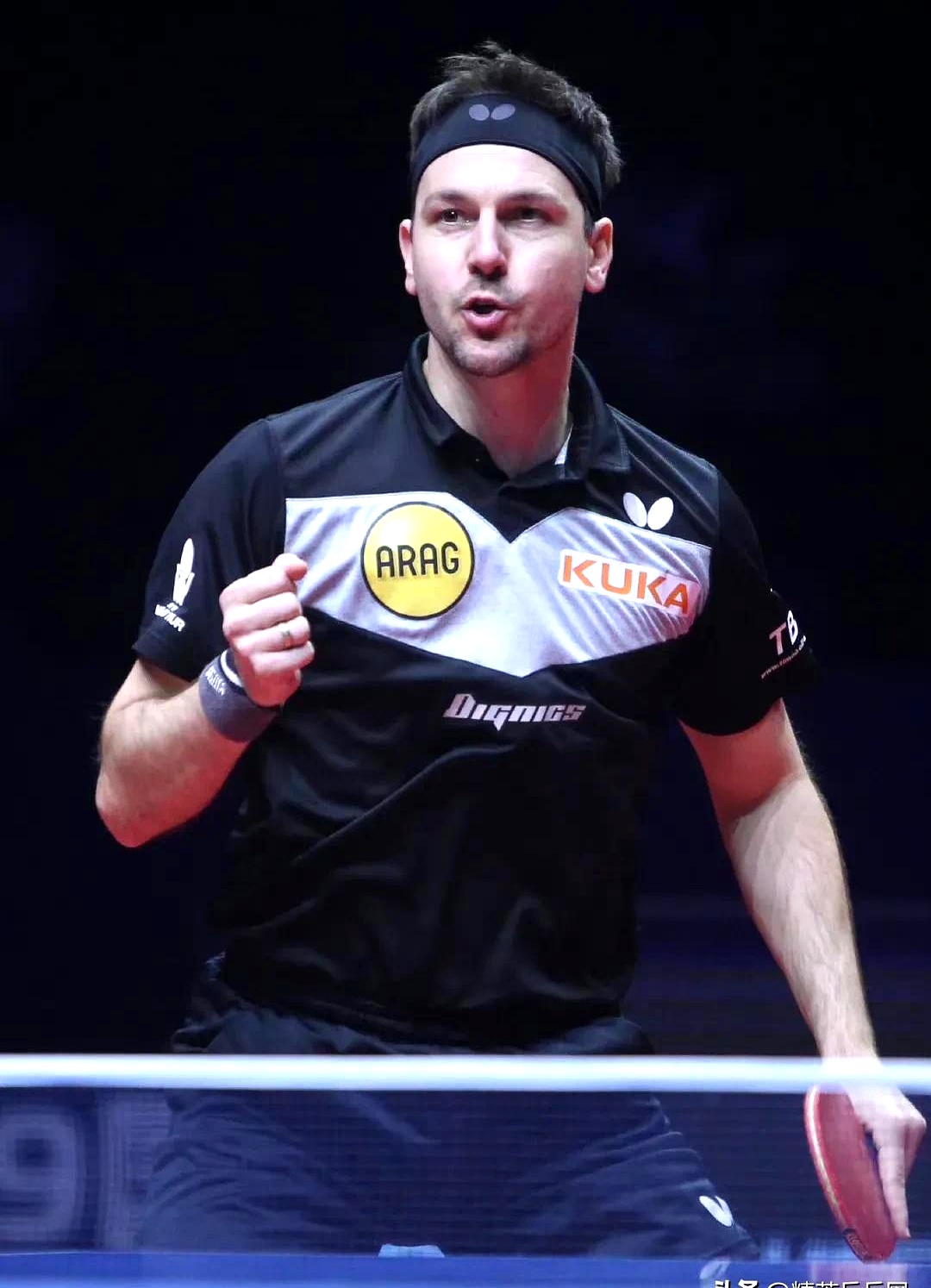 包含波兰乒乓球队险胜法国乒乓球队，波尔统治全场的词条