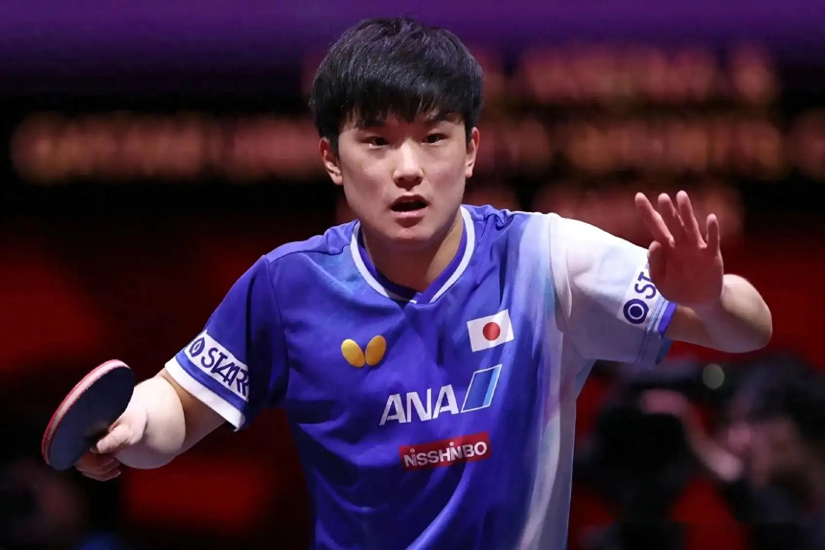 瑞典乒乓球队横扫中国乒乓球队，张本智和惊艳世界的简单介绍