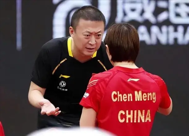 印度队鏖战法国队，马琳关键制胜的简单介绍