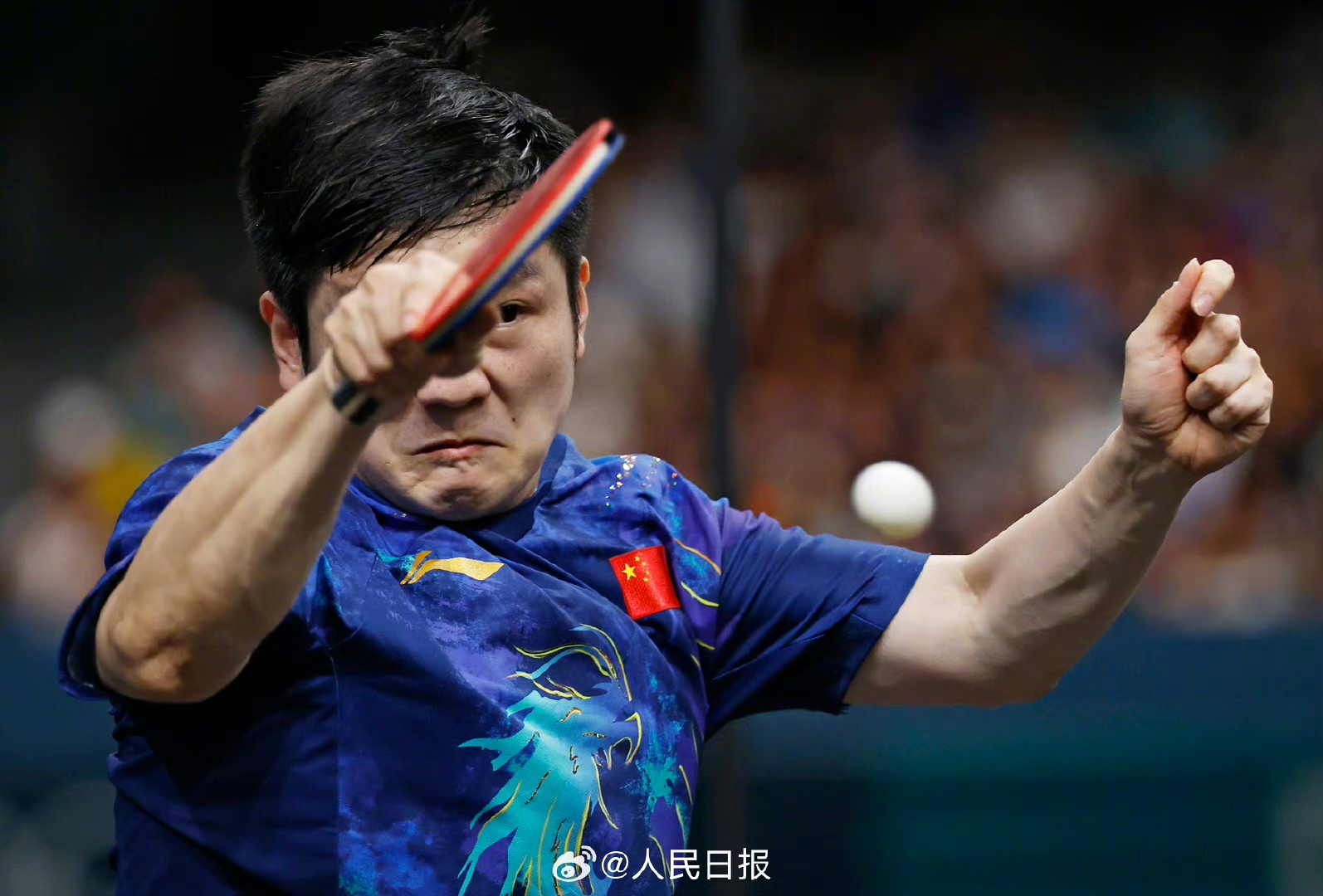 关于奥地利乒乓球队翻盘法国乒乓球队，樊振东完成帽子戏法的信息