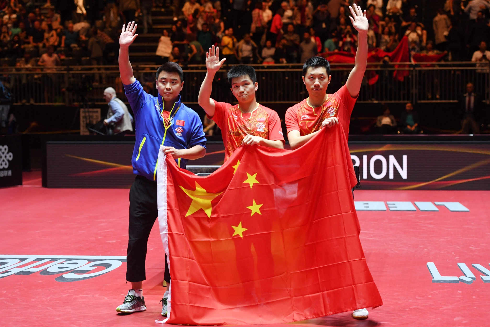 德国乒乓球队逆转中国乒乓球队，王皓惊艳世界的简单介绍